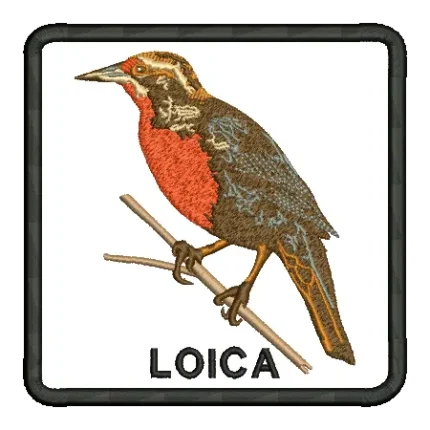 import placeholder for 430