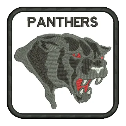 import placeholder for 488