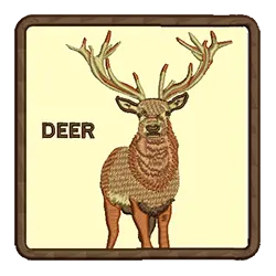 import placeholder for 523