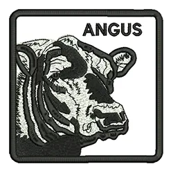 import placeholder for 569