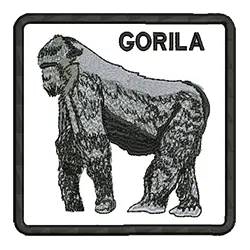 import placeholder for 586