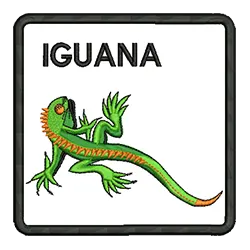 import placeholder for 604