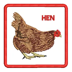 import placeholder for 663