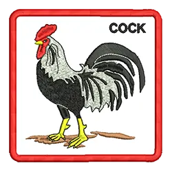 import placeholder for 672