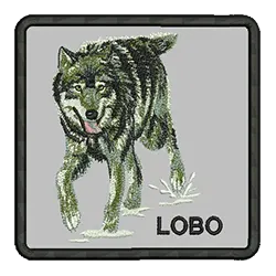 import placeholder for 696