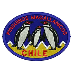 import placeholder for 916