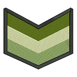 import placeholder for 1507