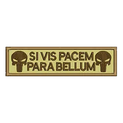 import placeholder for 1965